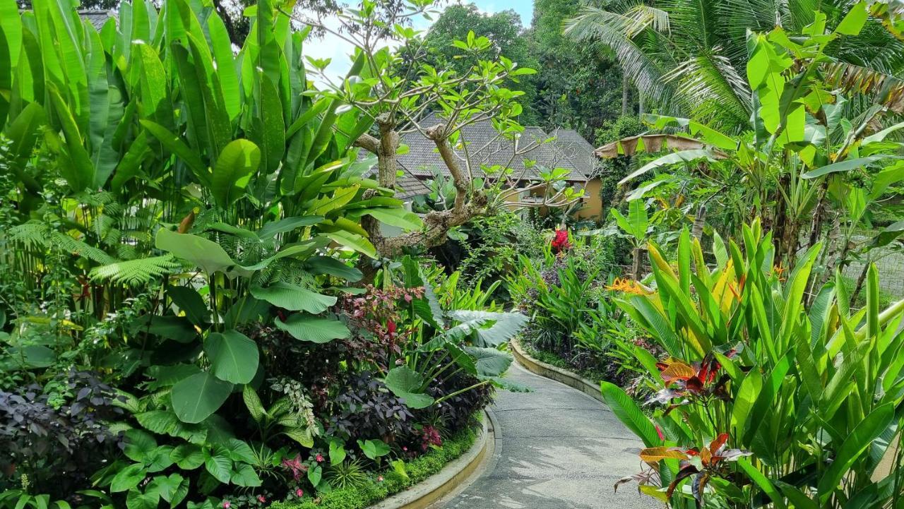 אובוד The Sebali Resort מראה חיצוני תמונה A path in the park