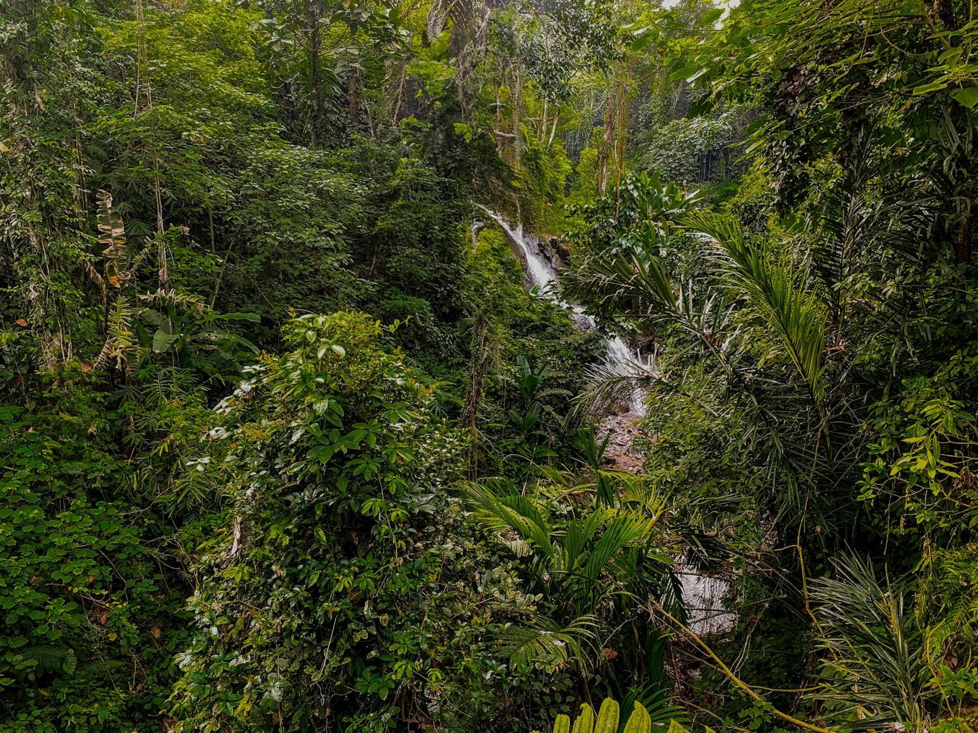 אובוד The Sebali Resort מראה חיצוני תמונה A waterfall in the park